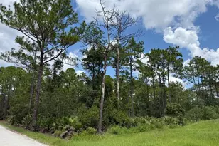 Unassigned East Pkwy, Deland, FL 32724 - Photo 1