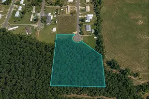 Unassigned Buckhead Dr, Grand Ridge, FL 32442 - Photo 1