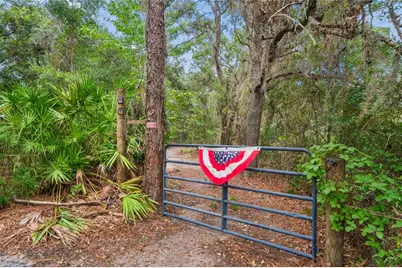 10447 Granning Lane, New Port Richey, FL 34654 - Photo 9