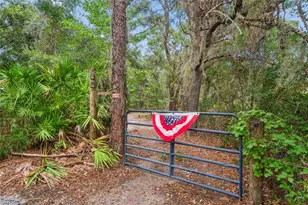 10447 Granning Ln, New Port Richey, FL 34654 - Photo 9