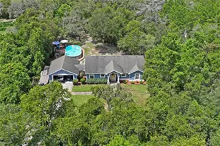 10447 Granning Ln, New Port Richey, FL 34654 - Photo 13