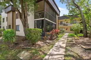 12414 N 58th St, Tampa, FL 33617 - Photo 27