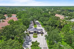 10217 Timberland Point Dr, Tampa, FL 33647 - Photo 43