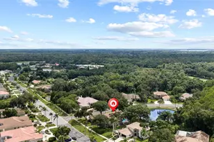 3351 Bristol Pl, Tarpon Springs, FL 34688 - Photo 63