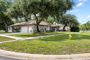3351 Bristol Pl, Tarpon Springs, FL 34688 - Photo 5