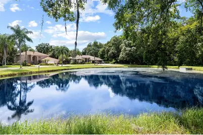 3351 Bristol Place, Tarpon Springs, FL 34688 - Photo 57