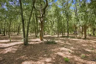 3624 S Susan Point, Inverness, FL 34452 - Photo 43