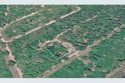 156 Sharon Drive, Satsuma, FL 32189 - Photo 1