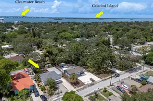1928 Springtime Ave, Clearwater, FL 33755 - Photo 57