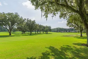2709 Fairway View Dr, Valrico, FL 33596 - Photo 35