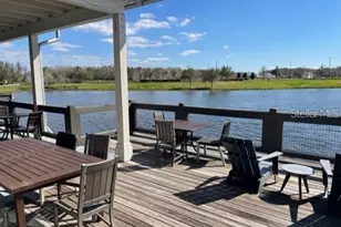 17751 Everlong Dr, Land O Lakes, FL 34638 - Photo 53