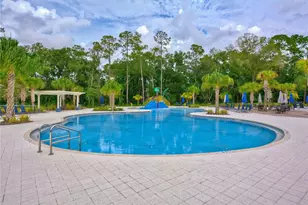 17751 Everlong Dr, Land O Lakes, FL 34638 - Photo 45