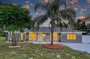 2358 Mariner Blvd, Spring Hill, FL 34609 - Photo 1