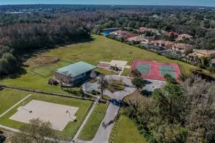 5426 Windbrush Dr, Tampa, FL 33625 - Photo 35