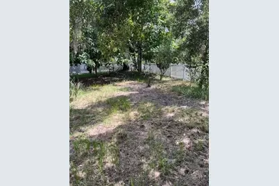 535 Wilkie Street, Dunedin, FL 34698 - Photo 13