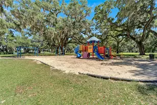 3132 Beaver Pond Trail, Valrico, FL 33596 - Photo 53