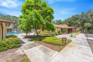 11714 Raintree Village Blvd, Temple Terrace, FL 33617 - Photo 3