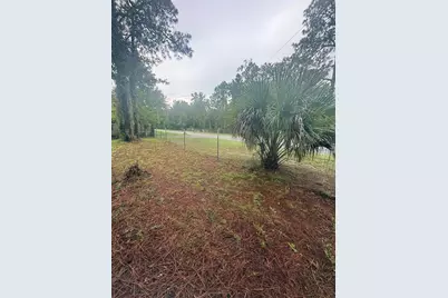 1393 S Candlenut Avenue, Homosassa, FL 34448 - Photo 5