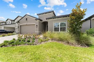 32034 Sapna Chime Dr, Wesley Chapel, FL 33545 - Photo 3