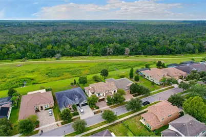 5830 Watercolor Drive, Lithia, FL 33547 - Photo 43