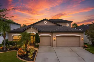 11520 Scarlet Ibis Pl, Riverview, FL 33569 - Photo 1