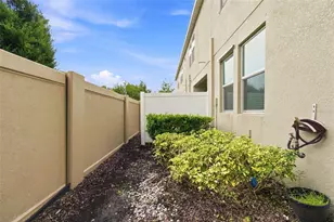 3207 Painted Blossom Ct, Lutz, FL 33558 - Photo 65