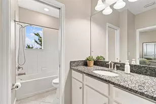 3207 Painted Blossom Ct, Lutz, FL 33558 - Photo 53