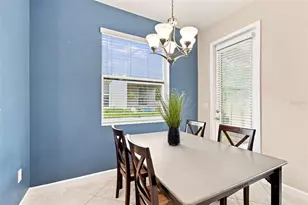 3207 Painted Blossom Ct, Lutz, FL 33558 - Photo 23