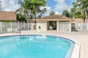 10853 43rd St N, Clearwater, FL 33762 - Photo 37