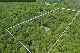 6221 Emerson Rd, Brooksville, FL 34601 - Photo 17