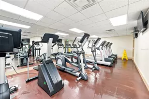 345 Bayshore Blvd, Tampa, FL 33606 - Photo 41