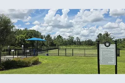 20865 Drake Elm Drive, Land O Lakes, FL 34638 - Photo 45