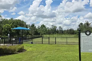 20865 Drake Elm Dr, Land O Lakes, FL 34638 - Photo 45