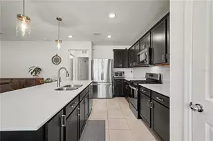 20865 Drake Elm Dr, Land O Lakes, FL 34638 - Photo 11