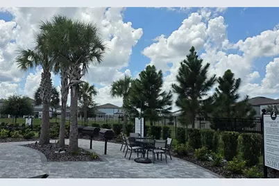 20865 Drake Elm Drive, Land O Lakes, FL 34638 - Photo 39