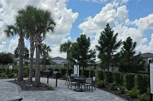 20865 Drake Elm Dr, Land O Lakes, FL 34638 - Photo 39