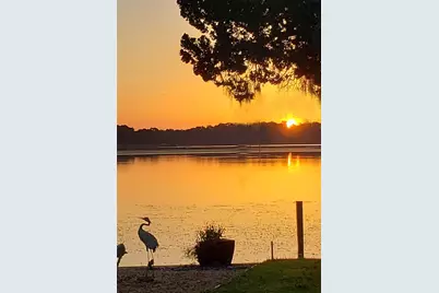 183 Philadelphia Boulevard #22, Palm Harbor, FL 34684 - Photo 43