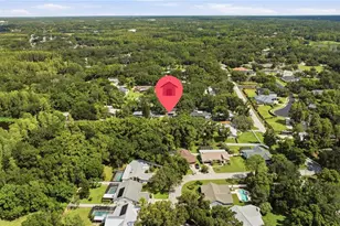 2005 Russell Dr, Tampa, FL 33618 - Photo 45