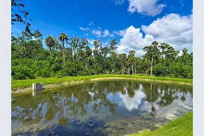 5364 Riverwalk Preserve Drive, New Port Richey, FL 34653 - Photo 69