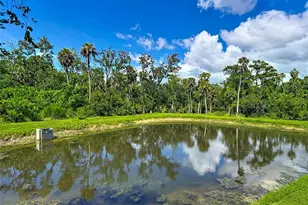 5364 Riverwalk Preserve Dr, New Port Richey, FL 34653 - Photo 69