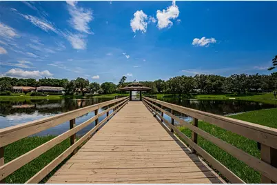 2233 Pinnacle Circle S, Palm Harbor, FL 34684 - Photo 47