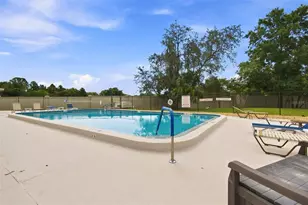 11712 Spring Tree Ln, Port Richey, FL 34668 - Photo 57