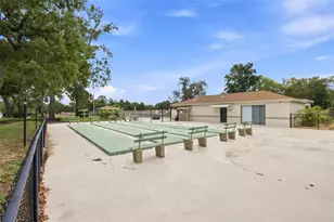 11712 Spring Tree Ln, Port Richey, FL 34668 - Photo 55