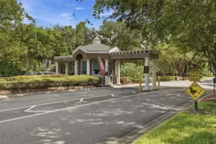 10438 Green Links Dr, Tampa, FL 33626 - Photo 47
