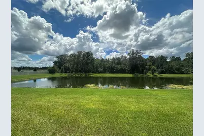26128 Fantasy Sky Lane, Lutz, FL 33559 - Photo 21