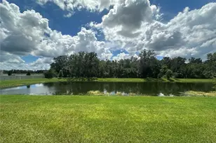 26128 Fantasy Sky Ln., Lutz, FL 33559 - Photo 21