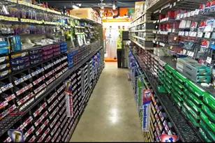 9513 N Nebraska Ave, Tampa, FL 33612 - Photo 5