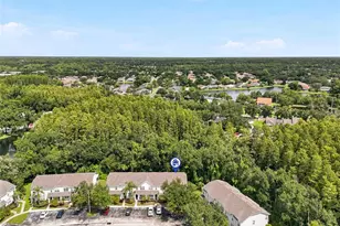 12725 Sunland Ct, Tampa, FL 33625 - Photo 43