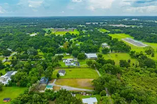 1810 Bland Way, Dover, FL 33527 - Photo 43