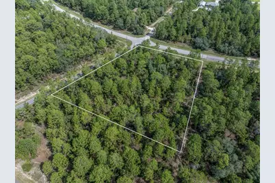 7293 N Windbrook Drive, Citrus Springs, FL 34433 - Photo 9